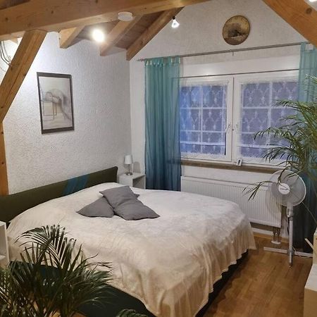 Gemuetliche Dachgeschosswohnung แอร์ฟวร์ท ภายนอก รูปภาพ