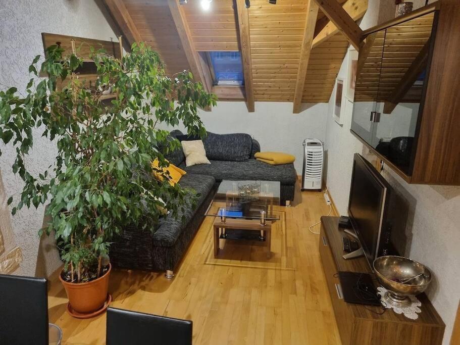 Gemuetliche Dachgeschosswohnung แอร์ฟวร์ท ภายนอก รูปภาพ