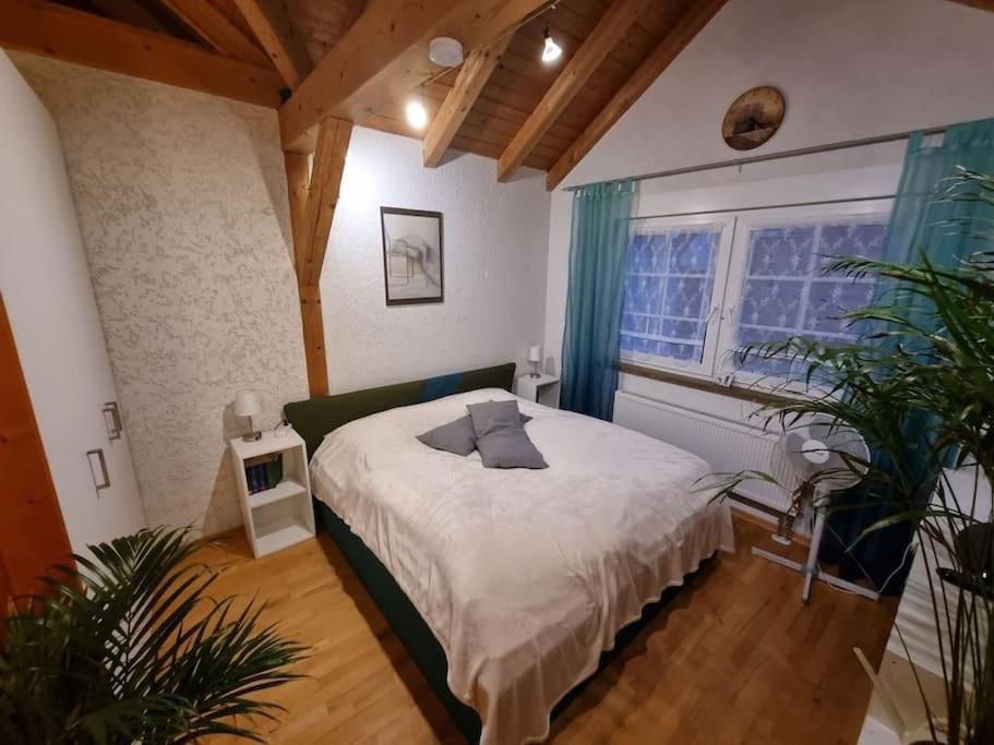Gemuetliche Dachgeschosswohnung แอร์ฟวร์ท ภายนอก รูปภาพ